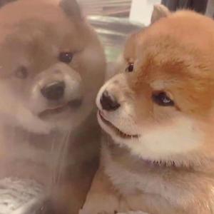 俄罗斯ree性ⅩXXHD
